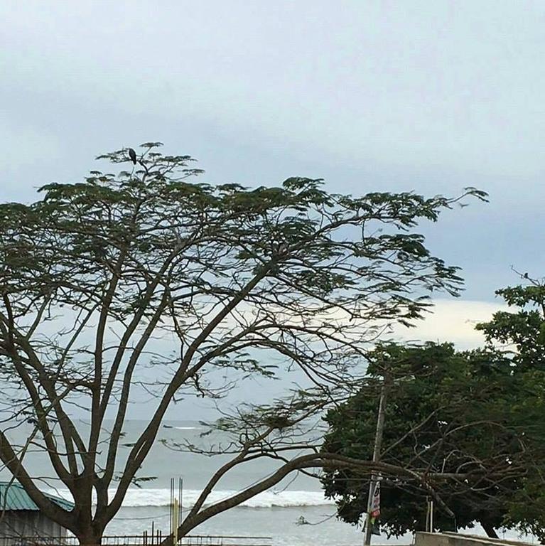 Gold Coast Resort Weligama Dış mekan fotoğraf
